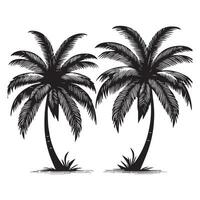 Retro Palm Tree Outline vector