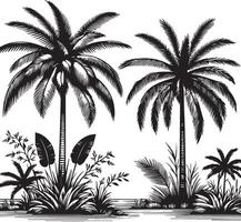 Classic Palm Tree Engraving Style vector