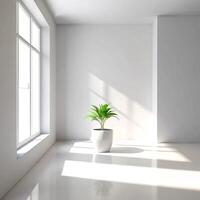 Minimalist Room Interior Design with Sunlight and a Single Plant in a White Pot photo