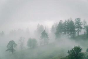 Misty Mountain Landscape with Fog Enveloping Evergreen Trees and Rolling Hills photo