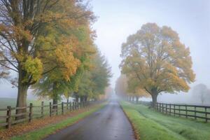 Misty Autumn Road with Golden Trees and Wooden Fences a Scenic Fall Drive through a Picturesque Landscape photo