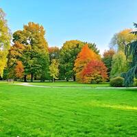 Vibrant Autumn Landscape in a Park with Lush Green Grass and Colorful Trees photo