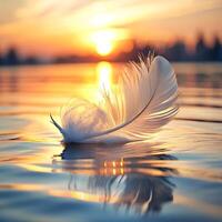 Serene Sunset Scene with Single White Feather Floating on Calm Water photo