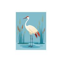 Wings of Grace A Whooping Crane in its Natural Habitat vector