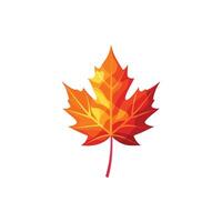 Crimson Memories The Maple Leafs Autumn Journey vector