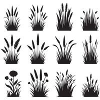 set of grass silhouettes design on a white background vector