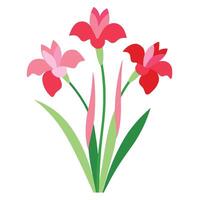 A flower with red and pink petals on a white background vector