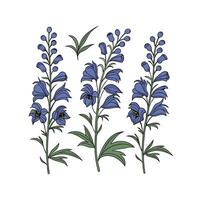 Set of a blue flowers with leaves and stems on a white background vector