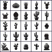 various cactus plants silhouettes in pots design on a white background vector