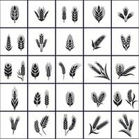 Creative various wheat icons on a white background vector