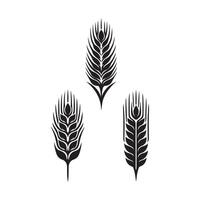Creative three wheat ears on a white background vector