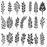A set of black silhouettes of leaves design on a white background vector