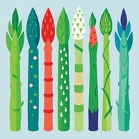 creative set asparagus of a fresh vegetable design on a white background vector