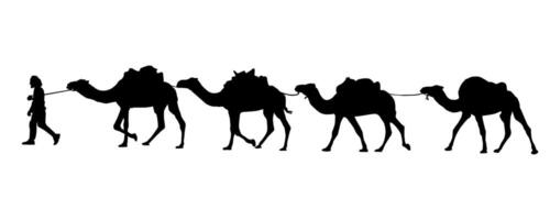 camel caravan silhouette. Camel caravan in the desert. vector