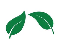 fresh leaf icon set vector