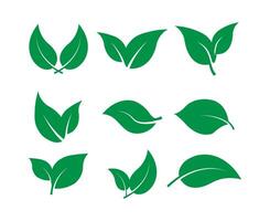 fresh modern leaf icon set vector