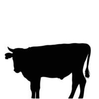 Silhouette of a cow stands a dark form against a capturing the farm animal's shape with horns and tail vector