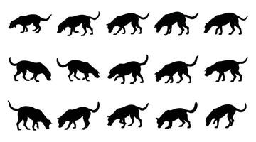 Sniffing Dog Silhouette Set Canine Tracking and Hunting Icons illustration vector