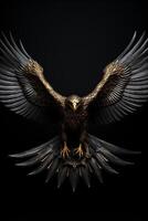 Golden eagle with wings spread on black background photo