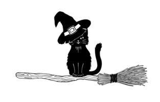 Magic black cat with witches hat sitting on broom, front view. The witch s cat. Halloween pet. Sketch style illustration vector