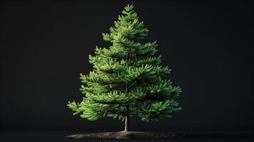 A small tree is shown on a black background photo