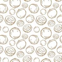 Seamless coconut line art pattern, brown outlines on white background. vector