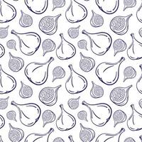 Seamless Pattern Featuring Blue Line Drawings of Fresh Figs on White Background vector