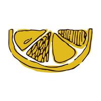 Fresh lemon slice. Hand drawn lemon. Tropical fruit. Sketch. Doodle. Perfect for summer design. Stylized line art illustration. Isolated on white background. Healthy fruit. Doodle ink illustration. vector