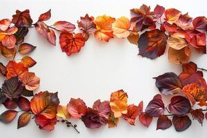 Autumn leaves frame on white background photo