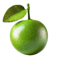 Fresh Green Citrus Fruit with Stem and Leaf png