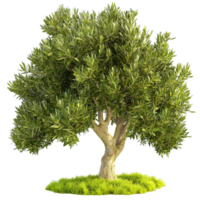 Majestic olive tree with lush green leaves symbolizes peace wisdom and longevity png