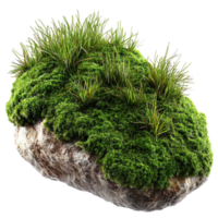 Moss covers a rock lush and vernt thriving in a forest setting png