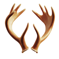 Large symmetrical deer antlers with sharp points look majestic and strong png