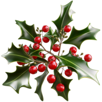 Holly leaves with red berries look festive and png