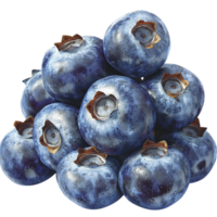 Cluster of ripe blueberries with a dusty surface looks and juicy png