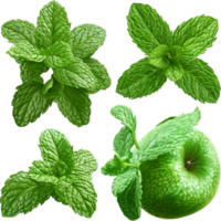 mint leaves and a green apple with crisp texture look reing and healthy png