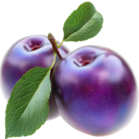 Two purple plums with green leaves attached look juicy and ripe png