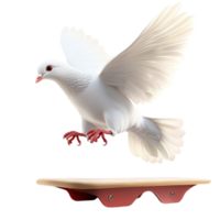 White dove spreads its wings while landing on a surface png