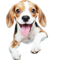 Energetic beagle puppy leaps forward with its tongue out and tail wagging png
