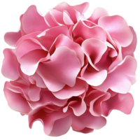 Lush pink hydrangea flower with delicate and overlapping petals png