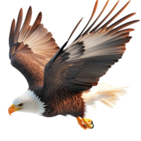 Majestic bald eagle soaring through the sky with sharp talons and outstretched wings png