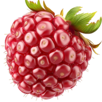 Juicy red raspberry with a realistic texture and tiny seeds on the surface png
