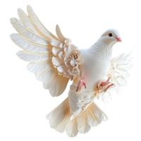 White dove in midflight with delicate wings and a peaceful expression png