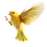 yellow canary in midflight with its wings fully spread and beak slightly open png