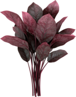A beautiful cluster of large burgundy leaves creates a dramatic botanical statement. Ideal for enhancing visual appeal and adding depth. png