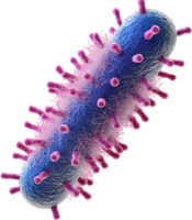 Detailed microscopic view of a bacterial cell, highlighting its complex structure and features on a dark backdrop. Scientific visualization. png