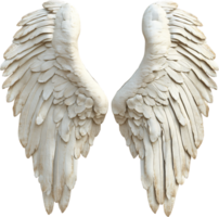 Elegant wings showcasing soft, white feathers with detailed texture and realistic form, against dark backdrop. png