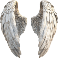Feathered wings spread wide, showcasing a sense of freedom and transcendence against a dark backdrop, a symbol of angelic grace. png