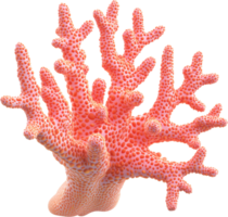 Pink branching coral provides a glimpse into vibrant marine ecosystems. Its unique structure and color highlight the biodiversity of underwater life. png