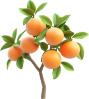 An eye-level view reveals a small tree laden with ripe oranges amidst vibrant green leaves. The tree is set against a black background. png